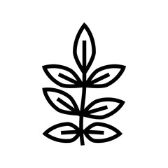 ash leaf line icon vector. ash leaf sign. isolated contour symbol black illustration