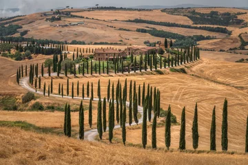 Fotobehang Crete Senesi, viale dei cipressi - Toscana, Siena © ondanomala
