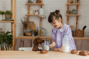 Adorable little girl with a small dachshund drinking milk in the kitchen. space for text, banner