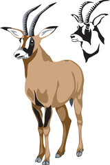 Roan antelope - vector illustration - obrazy, fototapety, plakaty