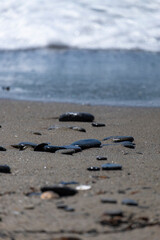 Fototapeta na wymiar Background of small stones by the beach