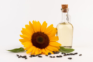 Sunflower oil in glass jug, seeds and flower isolated on white background