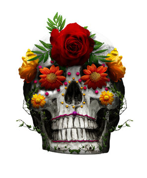 Calavera de azúcar, cráneo con flores y plantas