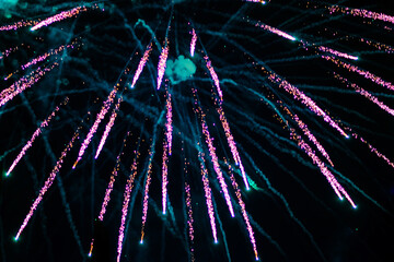 Bright, pink fireworks against the background of the night sky.