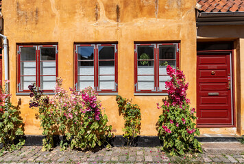 Obraz na płótnie Canvas old house with flowers