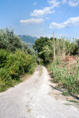 Fototapeta na wymiar Road along the hills nearby Sant’Agata dei Goti, Benevento, Italy.
