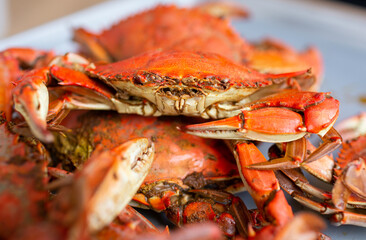 cooked crab on a plate