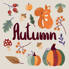Set of cartoon autumn elements. Autumn attributes. Lettering, pumpkin, squirrel, leaves, mushrooms, autumn berries. Vector illustration.