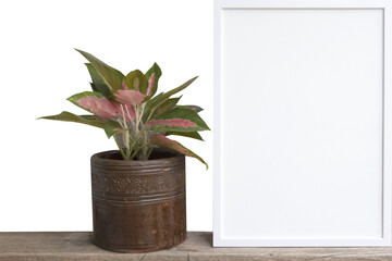 White picture frame and house plant flower on wooden shelf isolated on white with clipping path