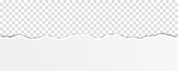 vector white colored torn paper banner with ripped edges with space for your text on transparent background	
