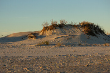 Sand Dune with Grass at Sunset