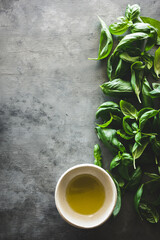 hojas de albahaca y un bol con aceite de oliva sobre un fondo gris, con espacio en blanco
