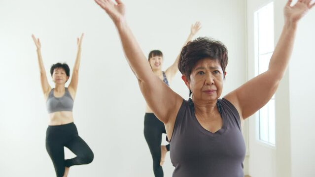 Group Senior Asian woman workout exercise and practice yoga together at gym, wellness senior concept