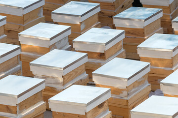 A number of new freshly made hives.
