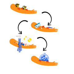 The bee sting first aid illustration on isolation blacground.