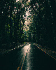 Caminos sureños