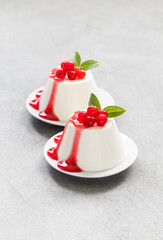 Red currant  cream pudding. Panna Cotta with sauce,  on a plate. Light gray background