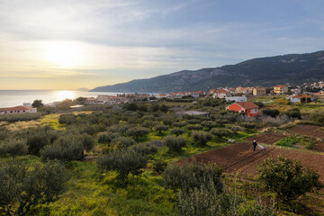 Obraz premium Komiza - Kroatien