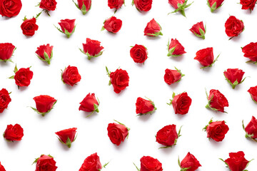 Red roses buds texture isolated on white background