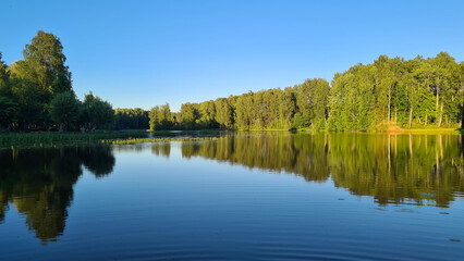 Fototapeta na wymiar .beautiful evening on the lake with green grass, clear water and blue sky