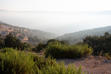 Clouds close to the ground between the mountains - Ajloun, Jordan 