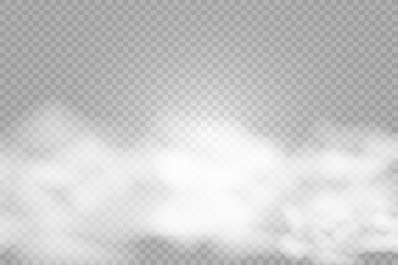 
Transparent smoke or fog vector background. Steam texture illustration. Powder explosion concept.