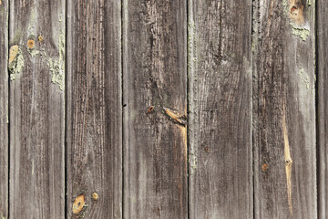 Background of an old barn wooden board