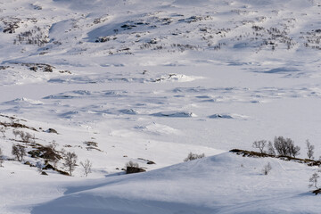 Kisteenden in the Haukelifjell mountains, Norway, Scandinavia