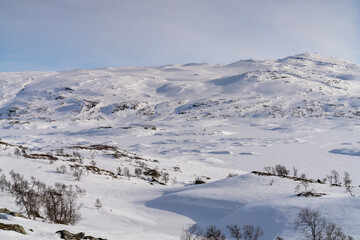 Fototapeta na wymiar Kisteenden in the Haukelifjell mountains, Norway, Scandinavia