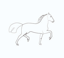 Line Drawing Horse Full Body Print Modern Animal Art Vector Illustration  