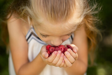 Girl eats ripe raspberries from the palms close-up. The concept of healthy natural food.