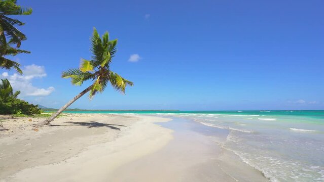 Coast of the Dominican Island with a palm beach. Travel and recreation in an exotic country. Transparent ocean waves on white sand. camera movement.