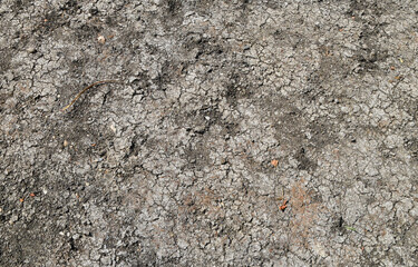 Completely dry pond during a drought