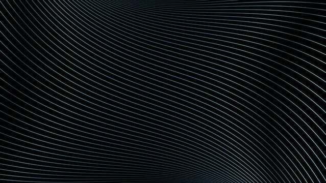 Black and white abstract curvy lines pattern seamless loop copy space background animation.	
