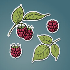 set of raspberries