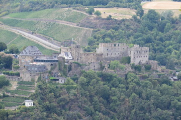 Burgruine Rheinfels über Sankt Goar