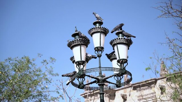 Streetlamp in the city