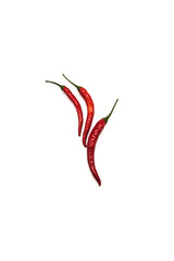 food photography red hot chili pepper