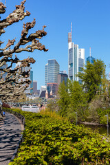 Fototapeta premium Frankfurt am Main, Sachsenhäuser Ufer. Rechts die Maininsel, im Hintergrund die Skyline. 16.04.2022. 
