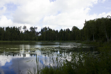 blue house on the shore of a forest lake. solitary living in an ecologically clean area. coniferous forest