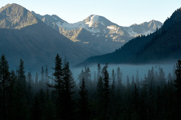 Naklejka na ściany i meble Dense fog in the mountain valley of the Katunsky Reserve Altai