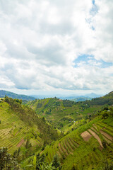 Fototapeta na wymiar Beautiful rural landscape in Rwanda near Nyungwe National Park, Africa. Copy space. Travel