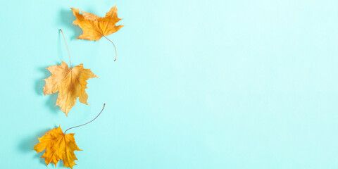 Autumn creative composition. Beautiful dried leaves on pastel blue background. Fall concept. Autumn background. Flat lay, top view, copy space
