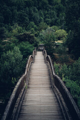 Fototapeta na wymiar Viejo puente de madera atravesando el bosque