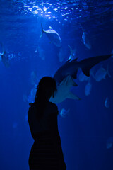 Girls silhouette in aquarium with shark and fishes