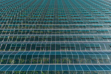 Greenhouse for growing vegetables with mounted photovoltaic panels