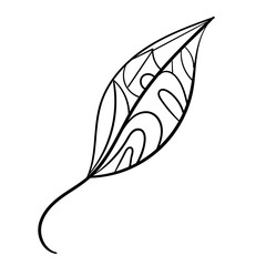 Botanical leaves set. Vector nature icon. Black doodle illustration on white background.