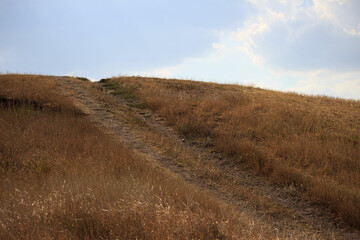 path leading into the sky with clouds and scorched dry grass. landscape for screensaver. grassy lawn, typical steppe landscape.