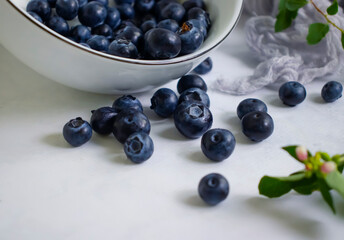 Plate with fresh blueberries on a light background