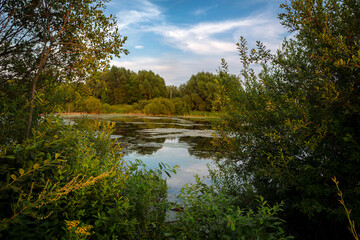Swamp in clear weather with sky reflection.